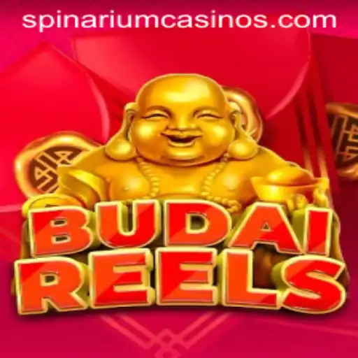 Exploring the World of BudaiReels: The Spinarium Experience
