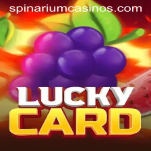 Exploring the Thrills of LuckyCard and Spinarium